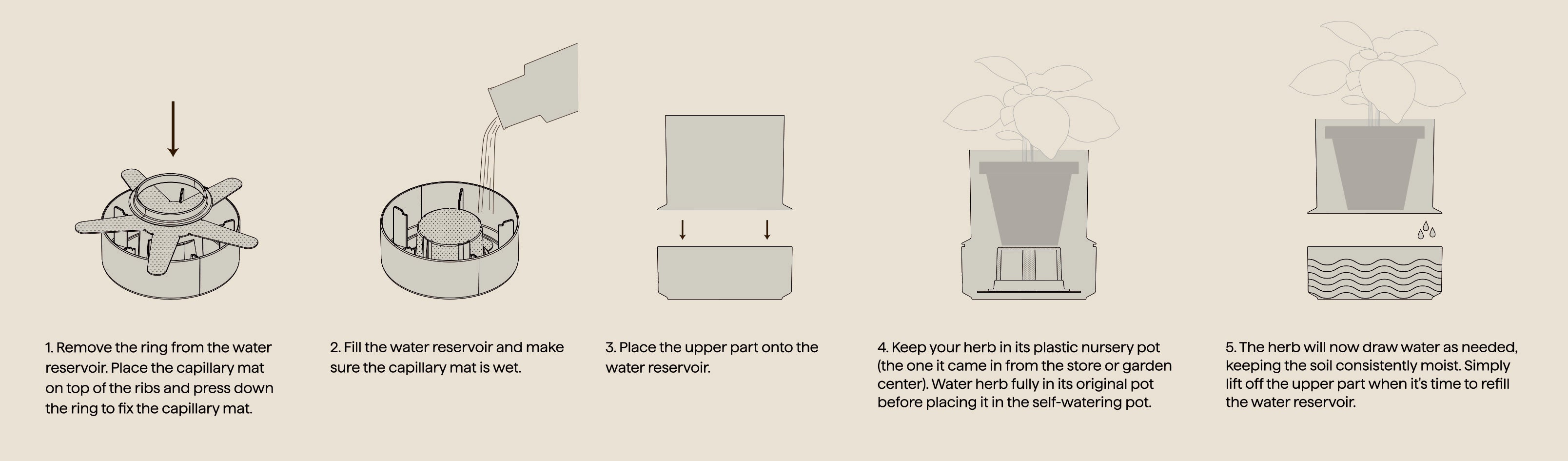 Billund self-watering pot, blueberry