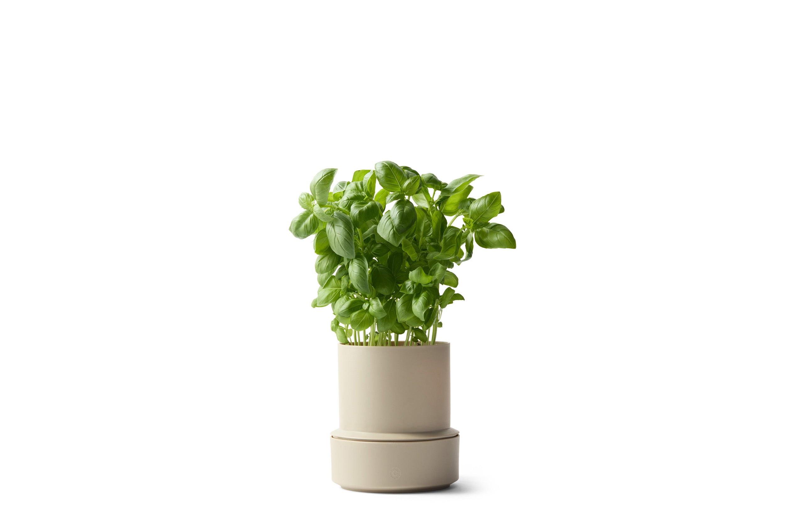 Billund self-watering pot, cumin