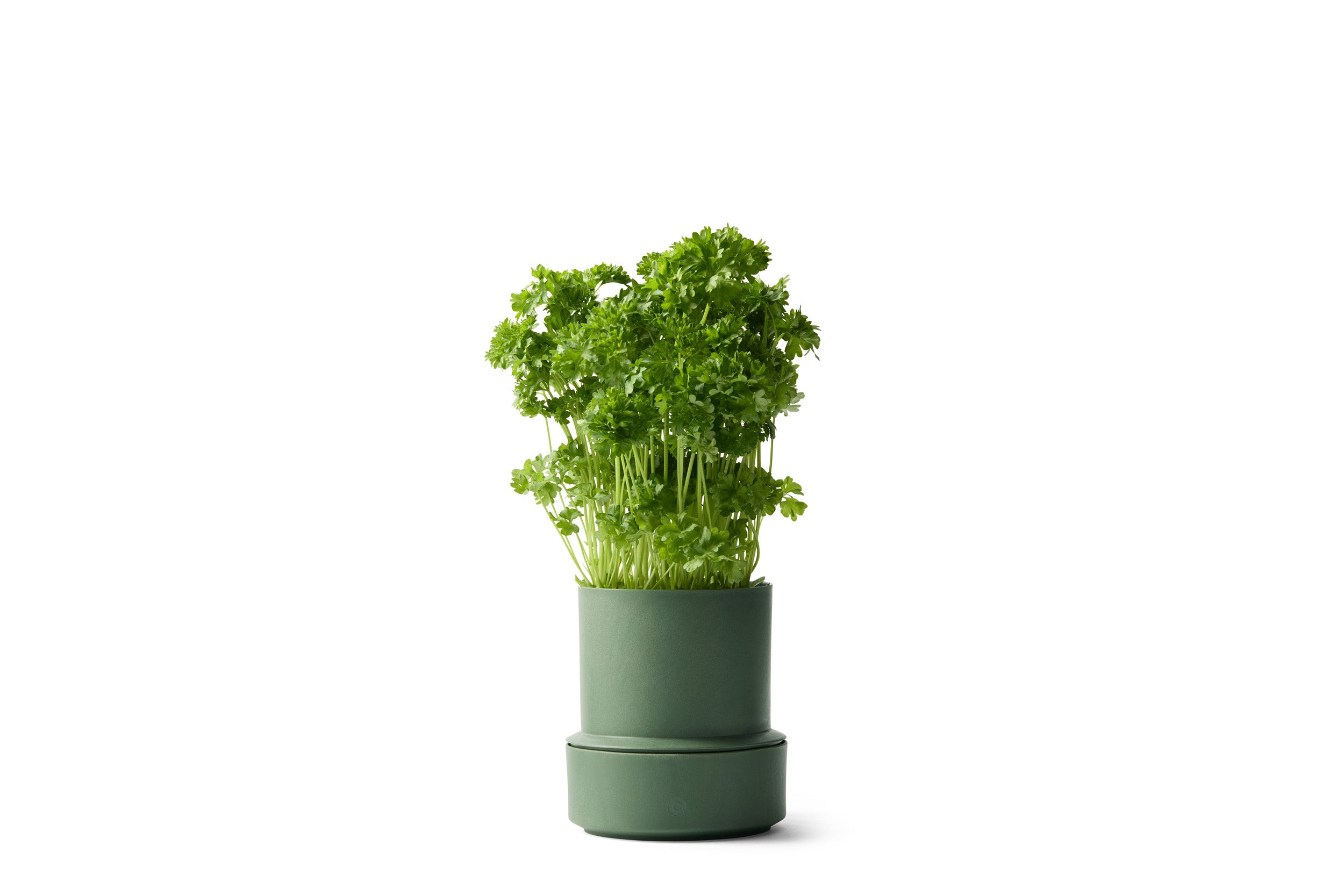 Billund self-watering pot, parsley