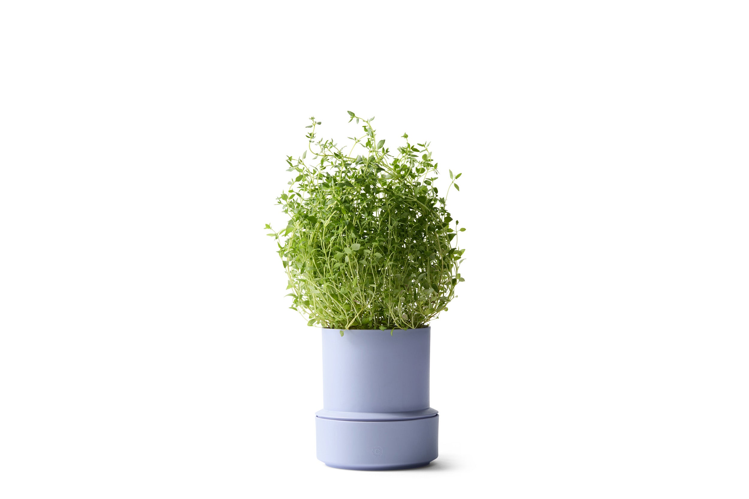 Billund self-watering pot, lavender