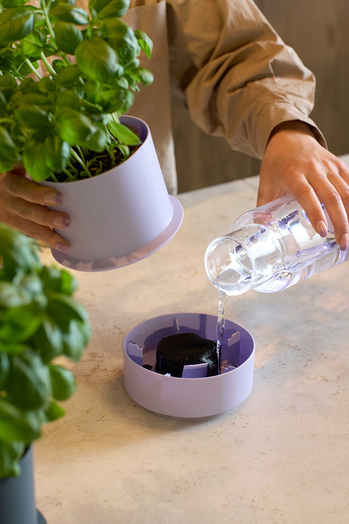 Billund self-watering pot, lavender